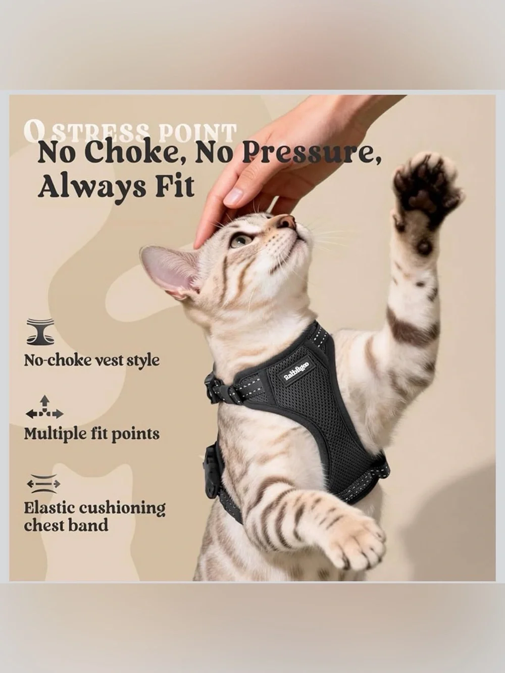 Rabbitgoo cat harness